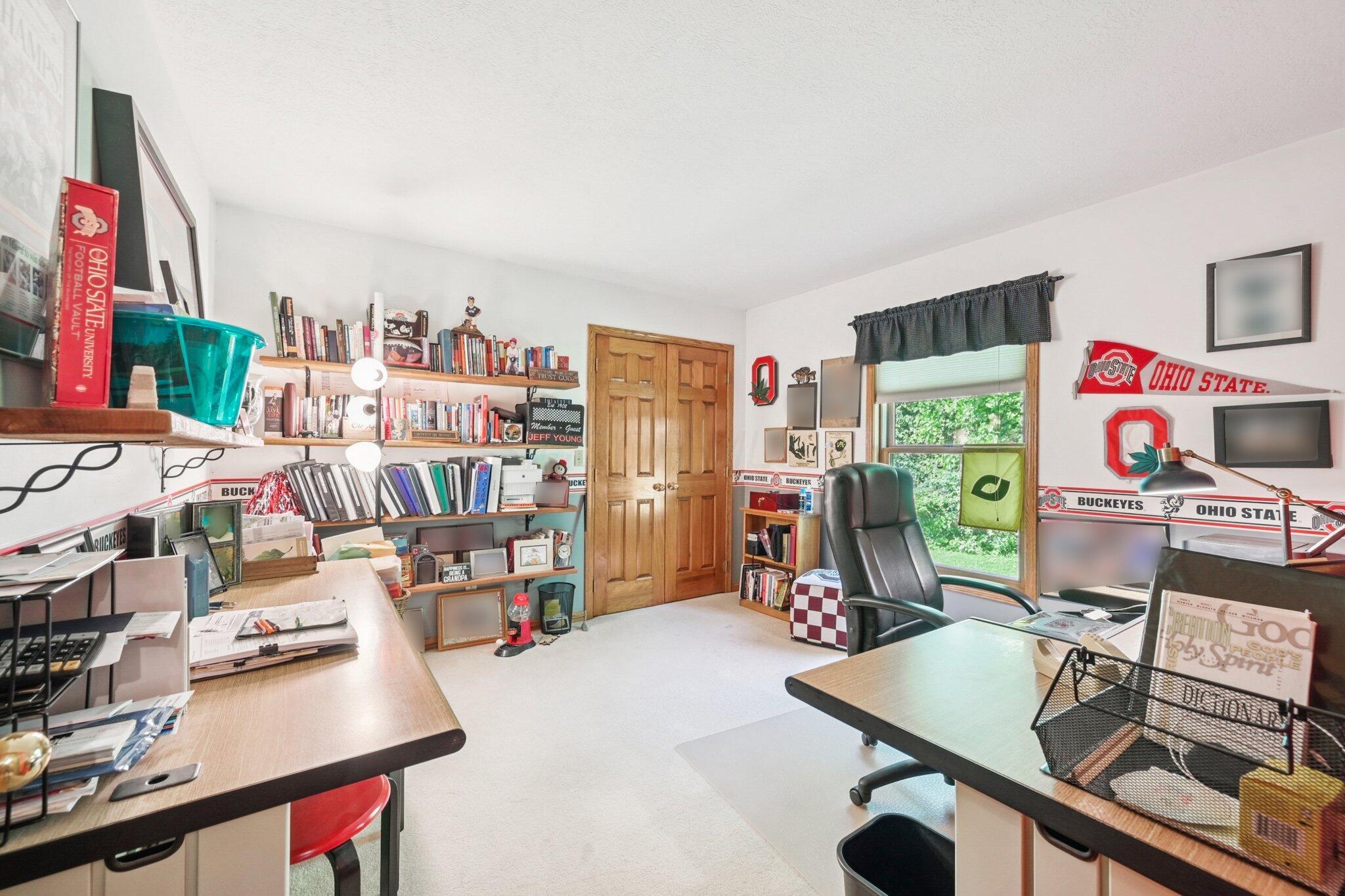 7700 Plumb Road Galena, OH 43021 - Photo 70 of 94 Dedicated home office/third bedroom filled with natural light, and Buckeye pride throughout.