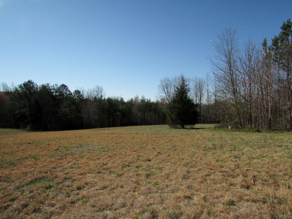 Allie Clay Road Roxboro, NC 27573 - Photo 12 of 23 Starting left to right this would be the left side of road front. Land