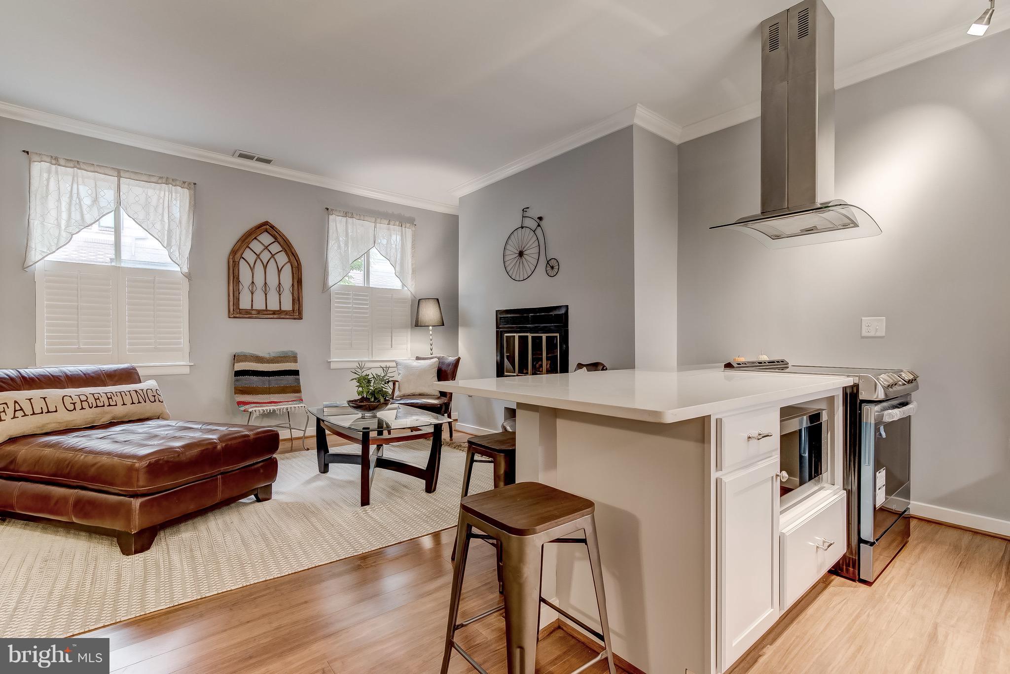 610 South Charles Street, Unit R37 Baltimore, MD 21230 - Photo 10 of 26 Kitchen Island & Living Room