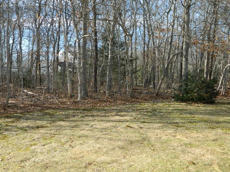20 Millrace Road Marstons Mills, MA 02648 - Photo 3 of 32 a view of outdoor space with trees