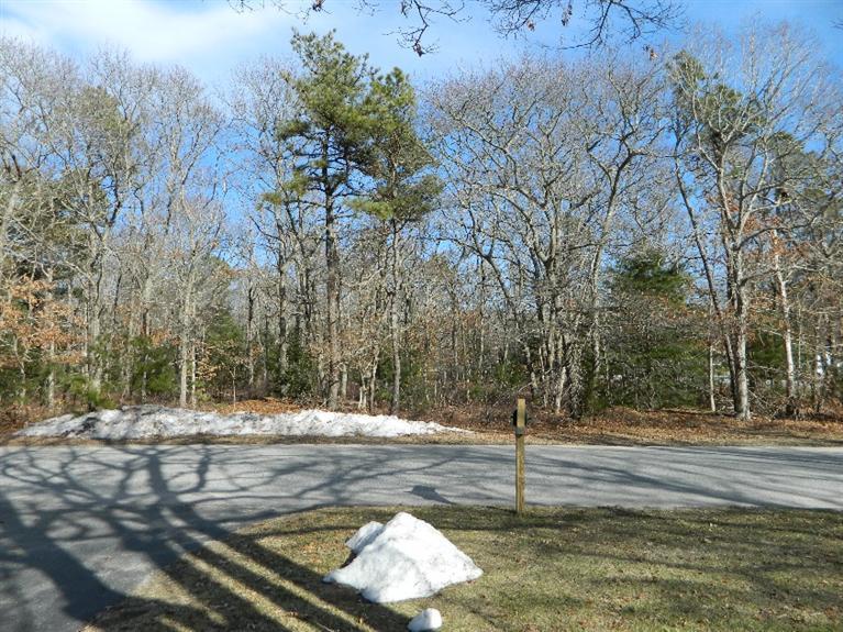 20 Millrace Road Marstons Mills, MA 02648 - Photo 6 of 32 a backyard of a house with lots of green space