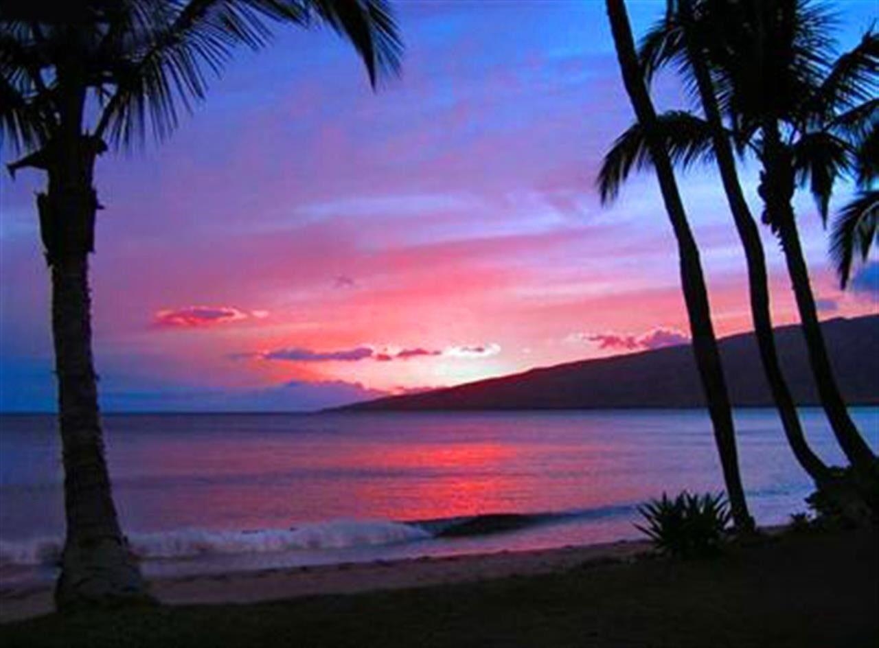 191 North Kihei Road, Unit 502 Kihei, HI 96753 - Photo 28 of 37 a view of an outdoor space and yard