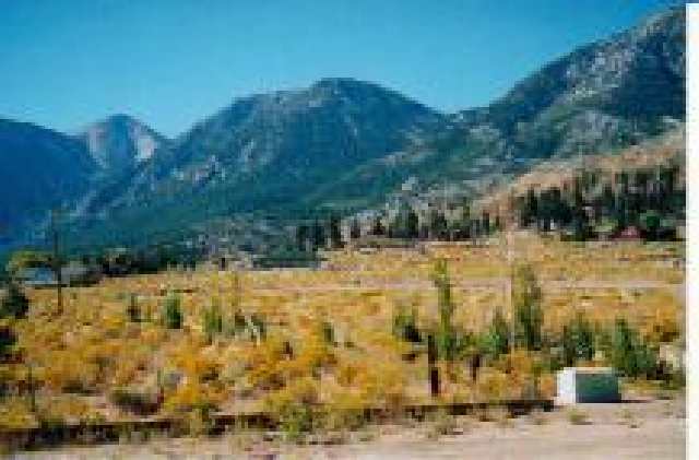 Lot#10 Foothill Road Gardnerville, NV 89460 - Photo 4 of 5