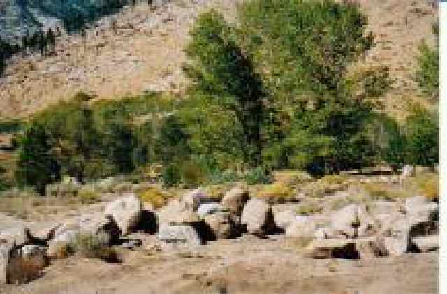 Lot#10 Foothill Road Gardnerville, NV 89460 - Photo 5 of 5