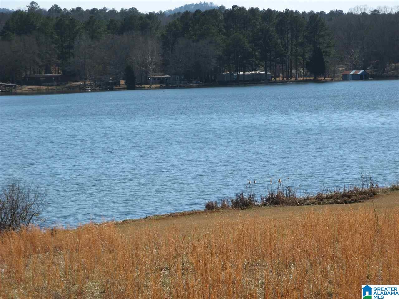 597 Cove Road Sylacauga, AL 35151 - Photo 34 of 35