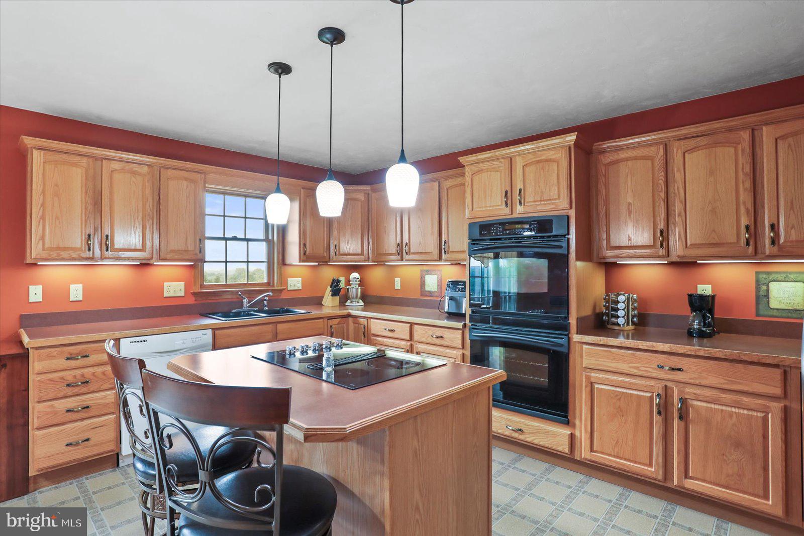 115 Packing House Road Hanover, PA 17331 - Photo 23 of 59 a kitchen with a stove a sink and cabinets