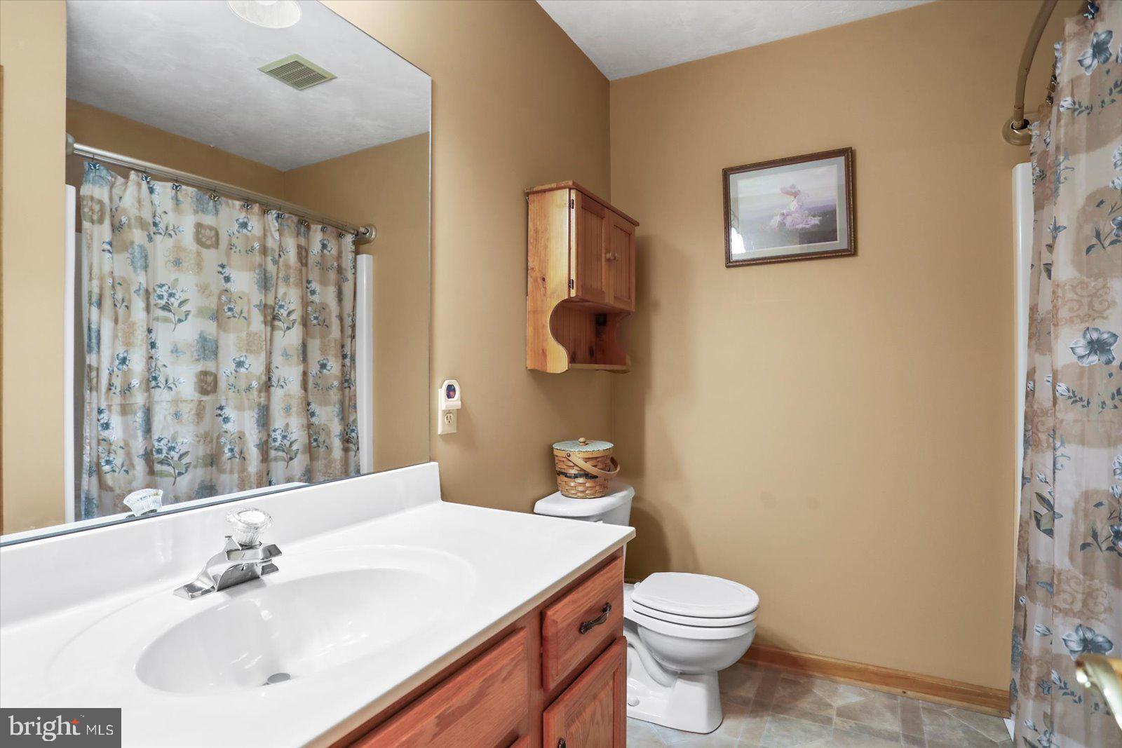 115 Packing House Road Hanover, PA 17331 - Photo 43 of 59 a bathroom with a sink a toilet and a mirror