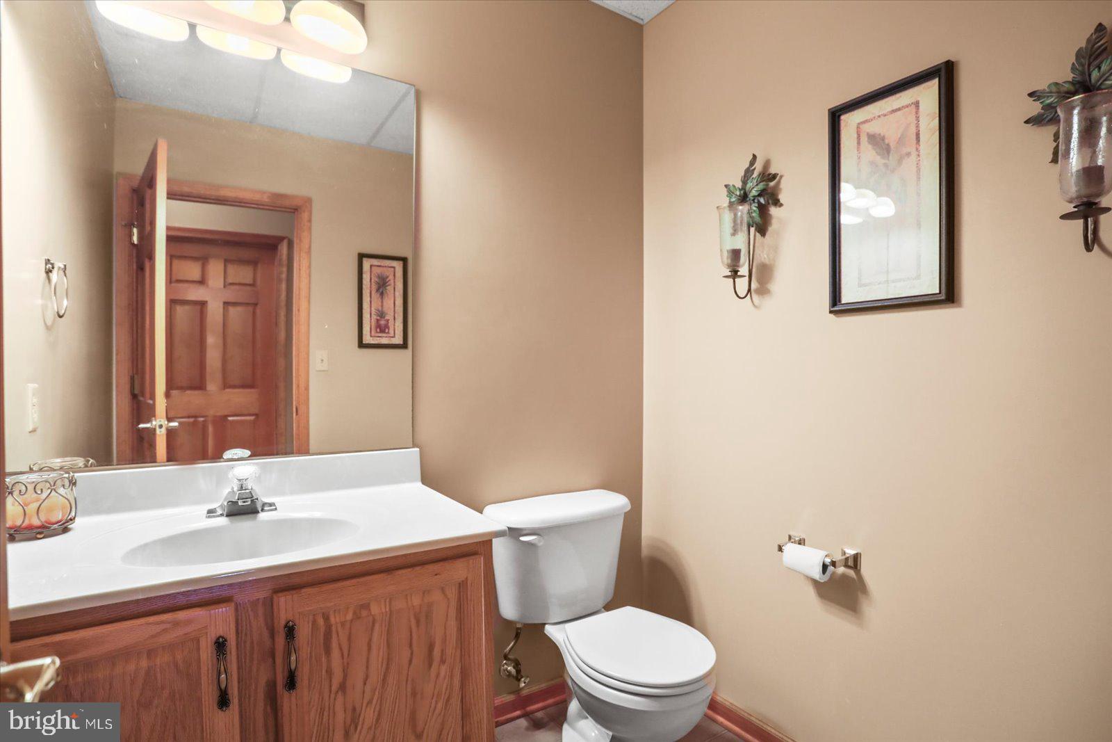 115 Packing House Road Hanover, PA 17331 - Photo 50 of 59 a bathroom with a toilet a sink and mirror