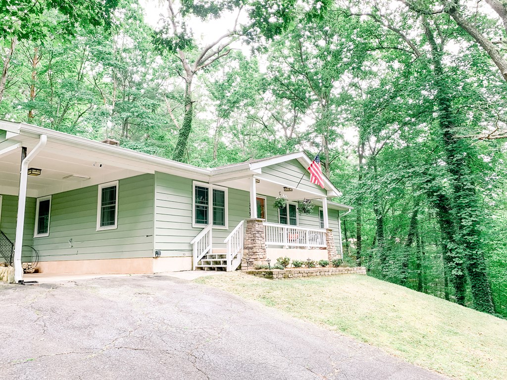 239 Garren Cove Road Morganton, GA 30560 - Photo 41 of 46