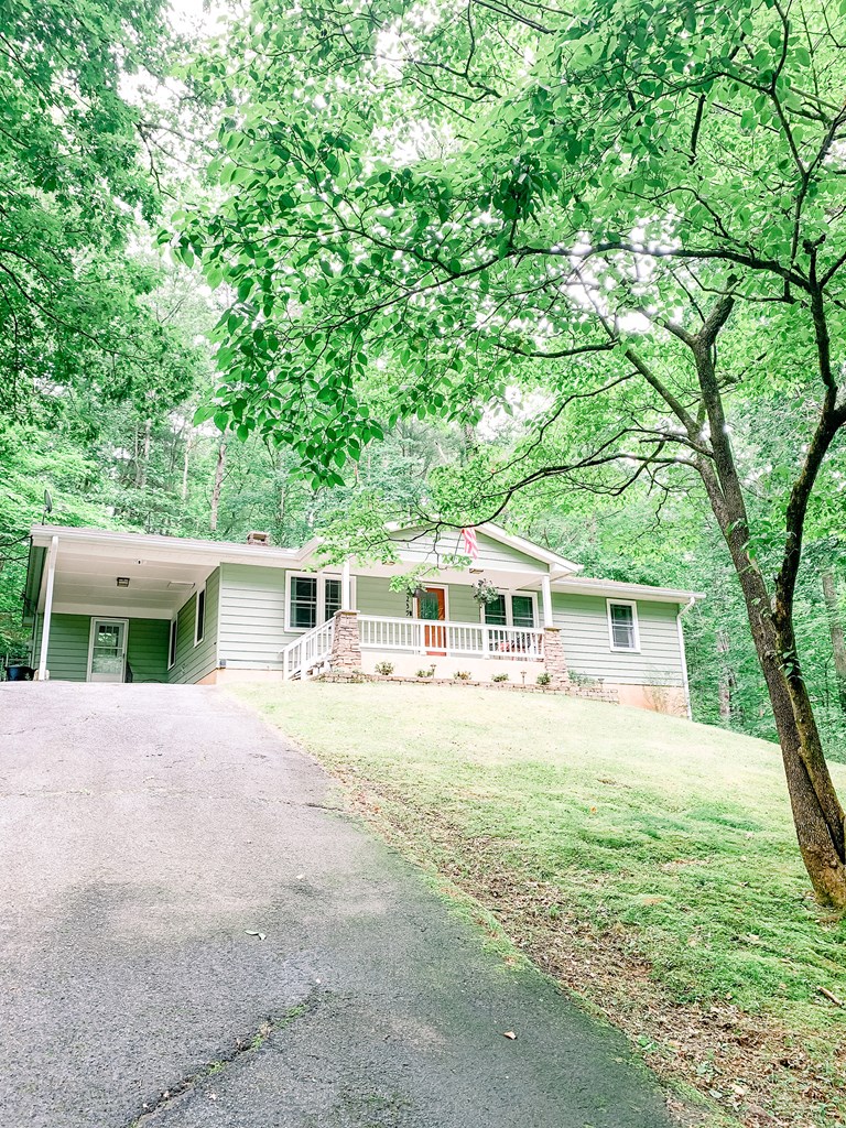 239 Garren Cove Road Morganton, GA 30560 - Photo 44 of 46