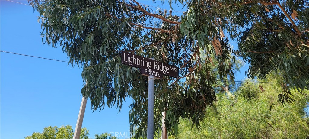3900 Lightning Ridge Way Simi Valley, CA 93065 - Photo 1 of 1 a view of a palm trees in a garden