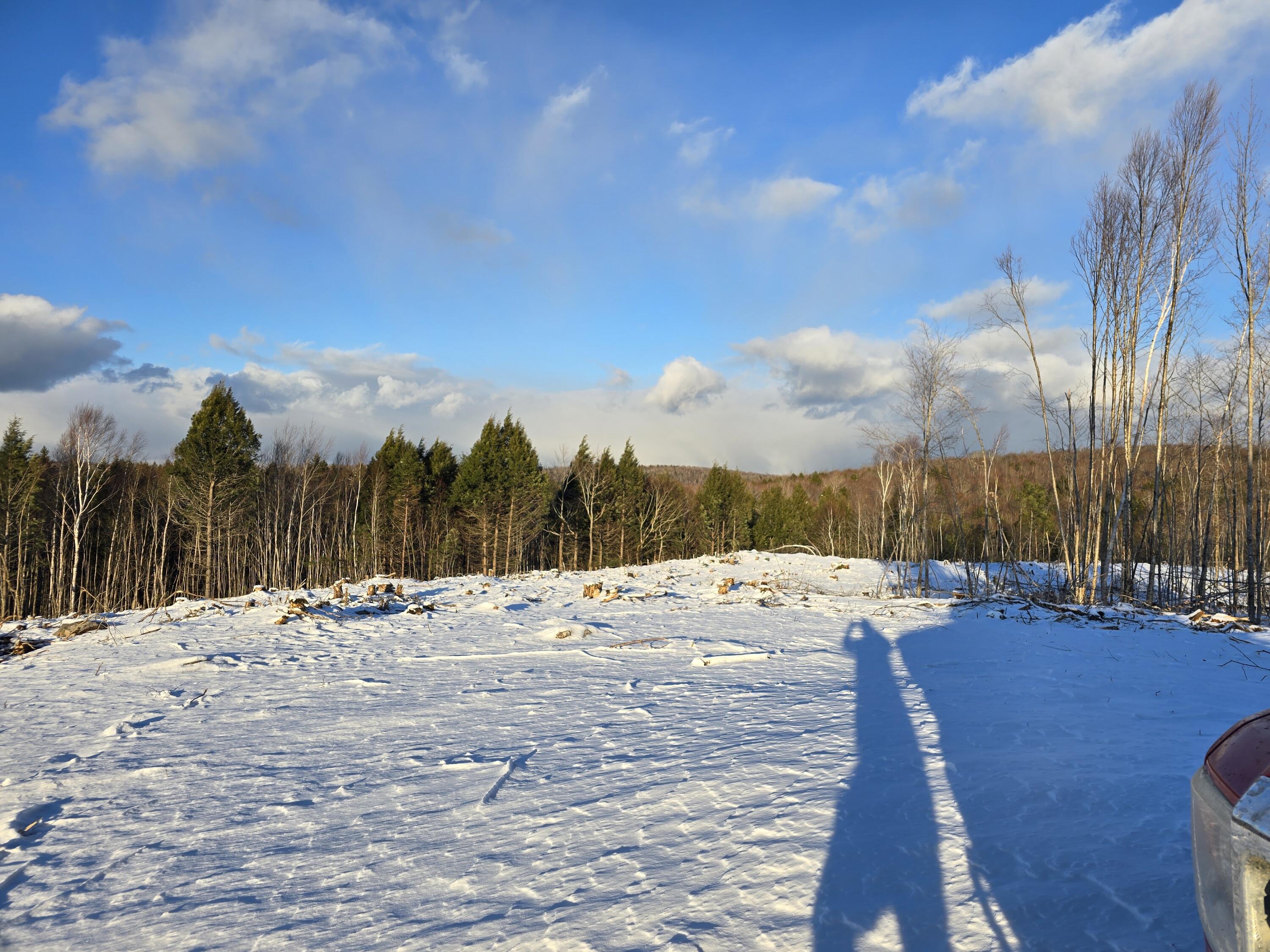6 Treadwell Hl Road Springfield, ME 04487 - Photo 3 of 11 20241219_144230