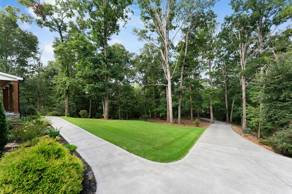 220 Long Road Northeast Rydal, GA 30171 - Photo 7 of 66 Gallery Image 7