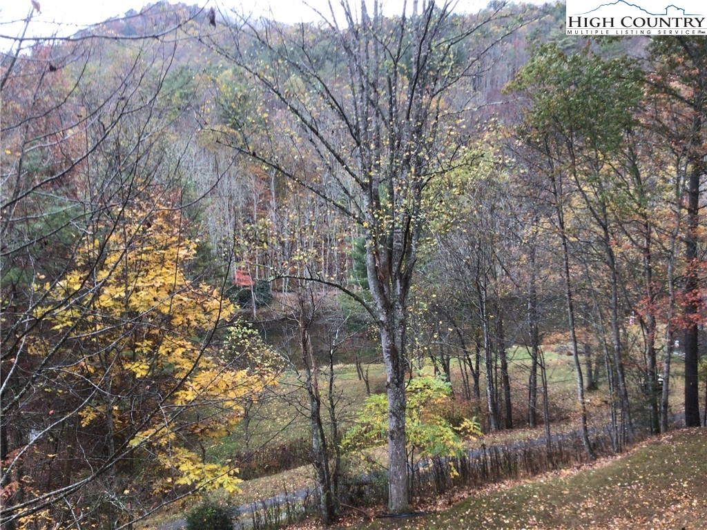 1459 River Front Ridge Drive Jefferson, NC 28640 - Photo 33 of 33 a view of a yard