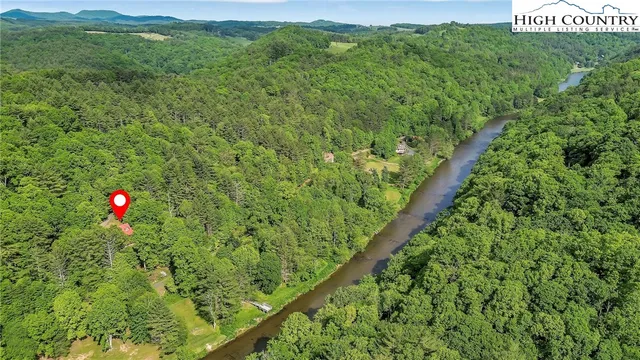 a view of a lush green forest with lots of trees