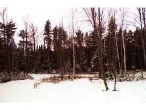 49 Hall Road Whitefield, NH 03598 - Photo 3 of 3