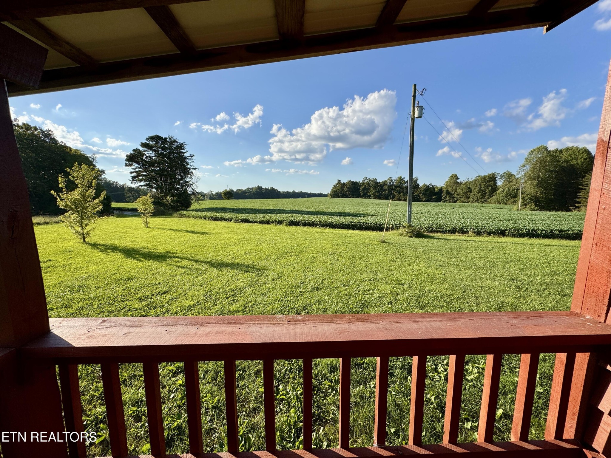 1336 Baldwin Gulf Road Clarkrange, TN 38553 - Photo 31 of 47 a view of a backyard with a lake view