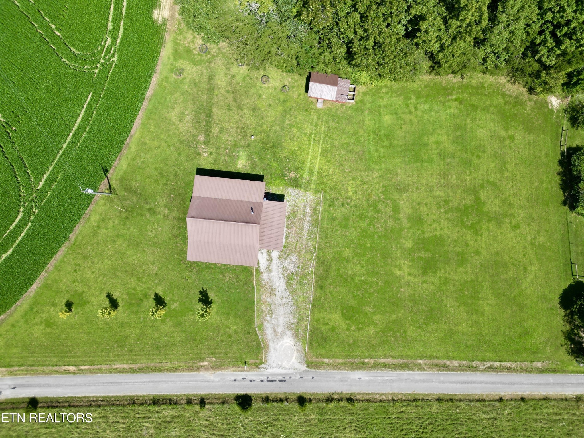 1336 Baldwin Gulf Road Clarkrange, TN 38553 - Photo 44 of 47 a view of a garden