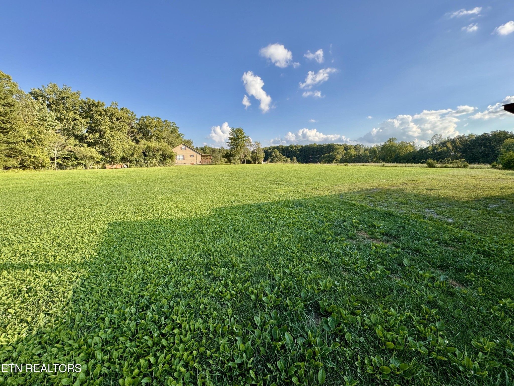 1336 Baldwin Gulf Road Clarkrange, TN 38553 - Photo 47 of 47 a view of an trees and sunset