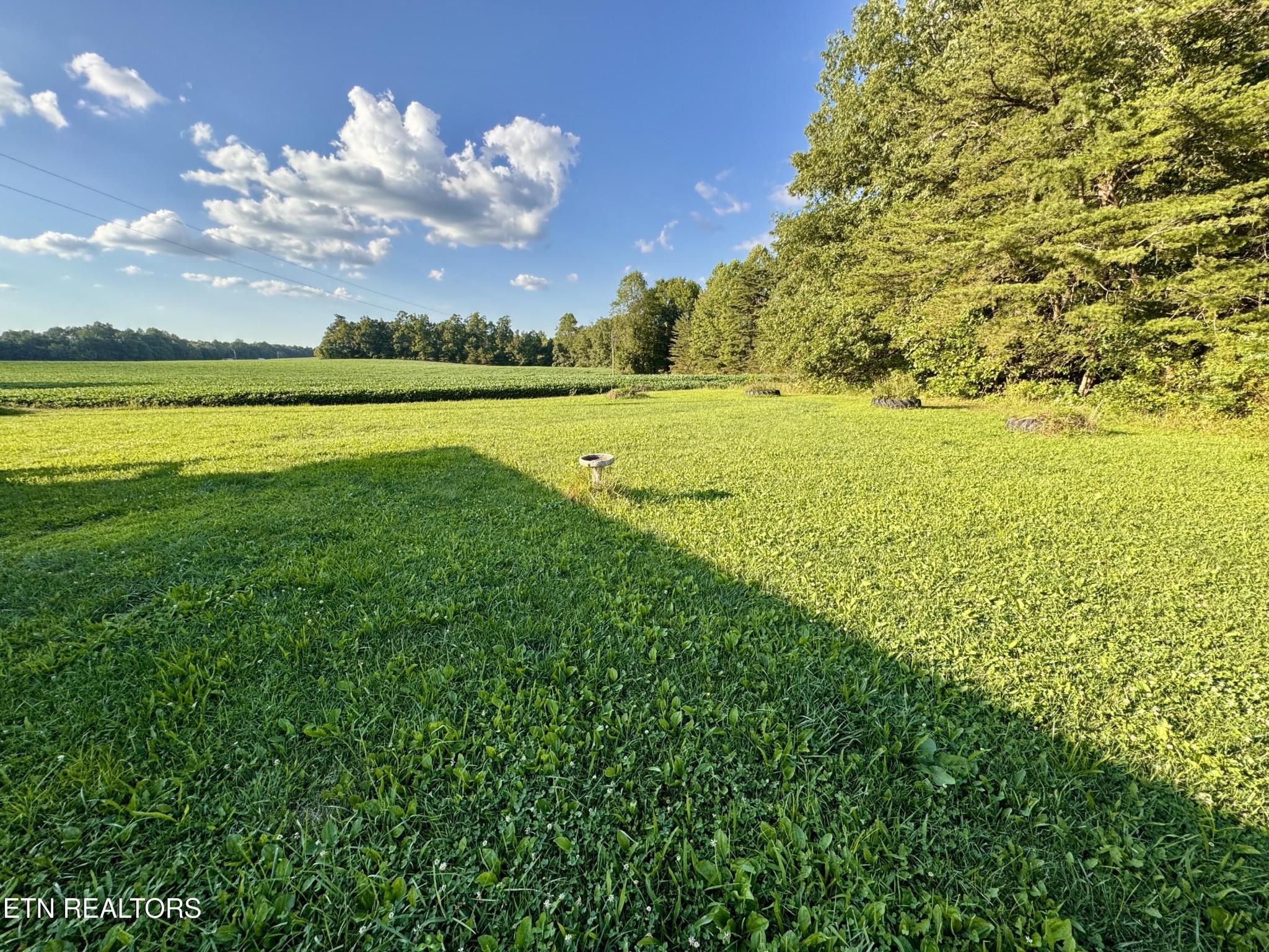 1336 Baldwin Gulf Road Clarkrange, TN 38553 - Photo 6 of 47 a view of an ocean and a yard