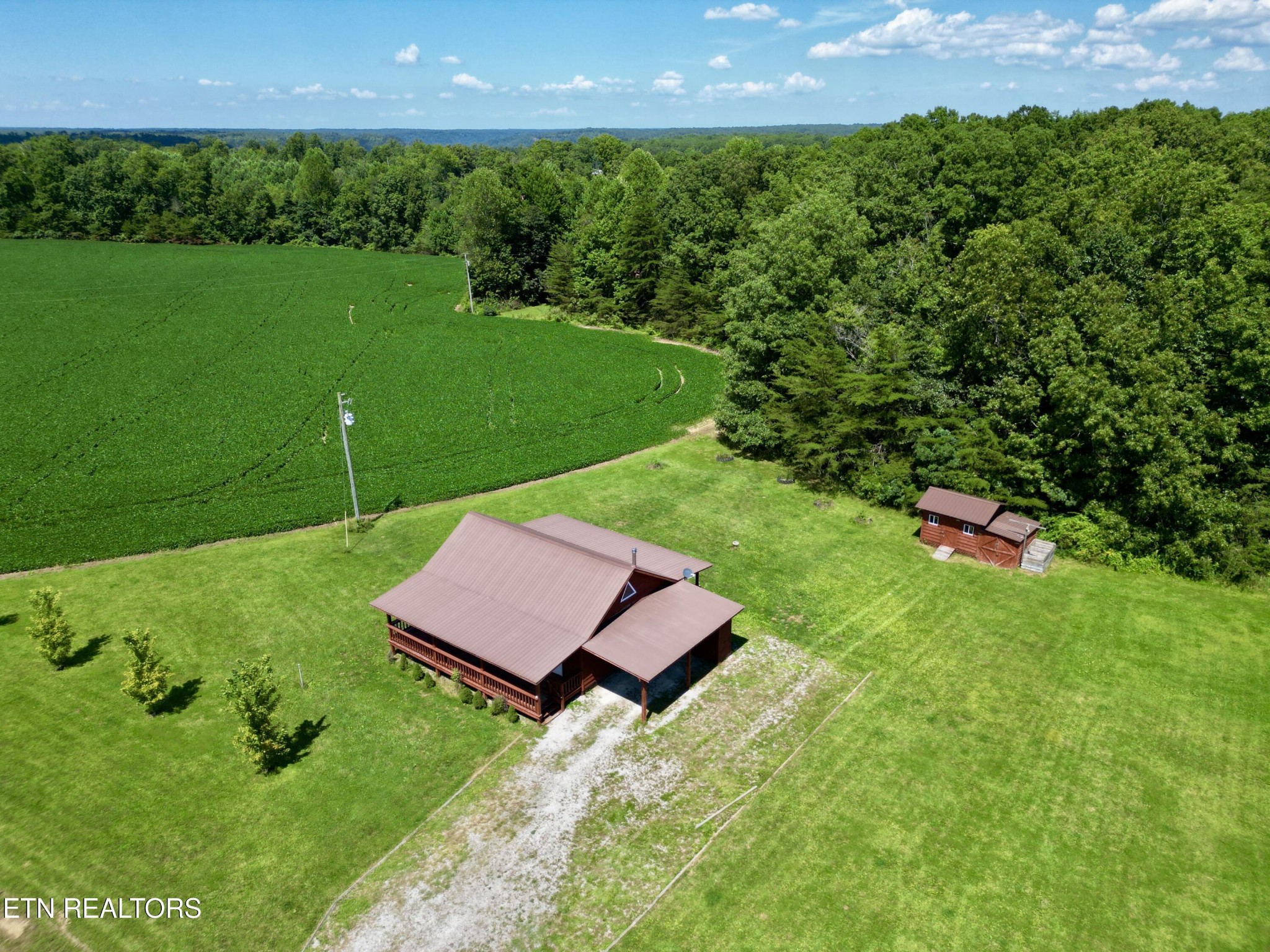 1336 Baldwin Gulf Road Clarkrange, TN 38553 - Photo 8 of 47 a backyard of a house with lots of green space