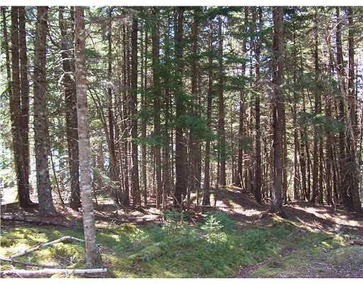 2509 Cutler Road Cutler, ME 04626 - Photo 7 of 8 20180815123547968400000000-o