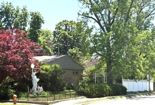 809 West Delaware Avenue Urbana, IL 61801 - Photo 4 of 10 a view of a house with a tree