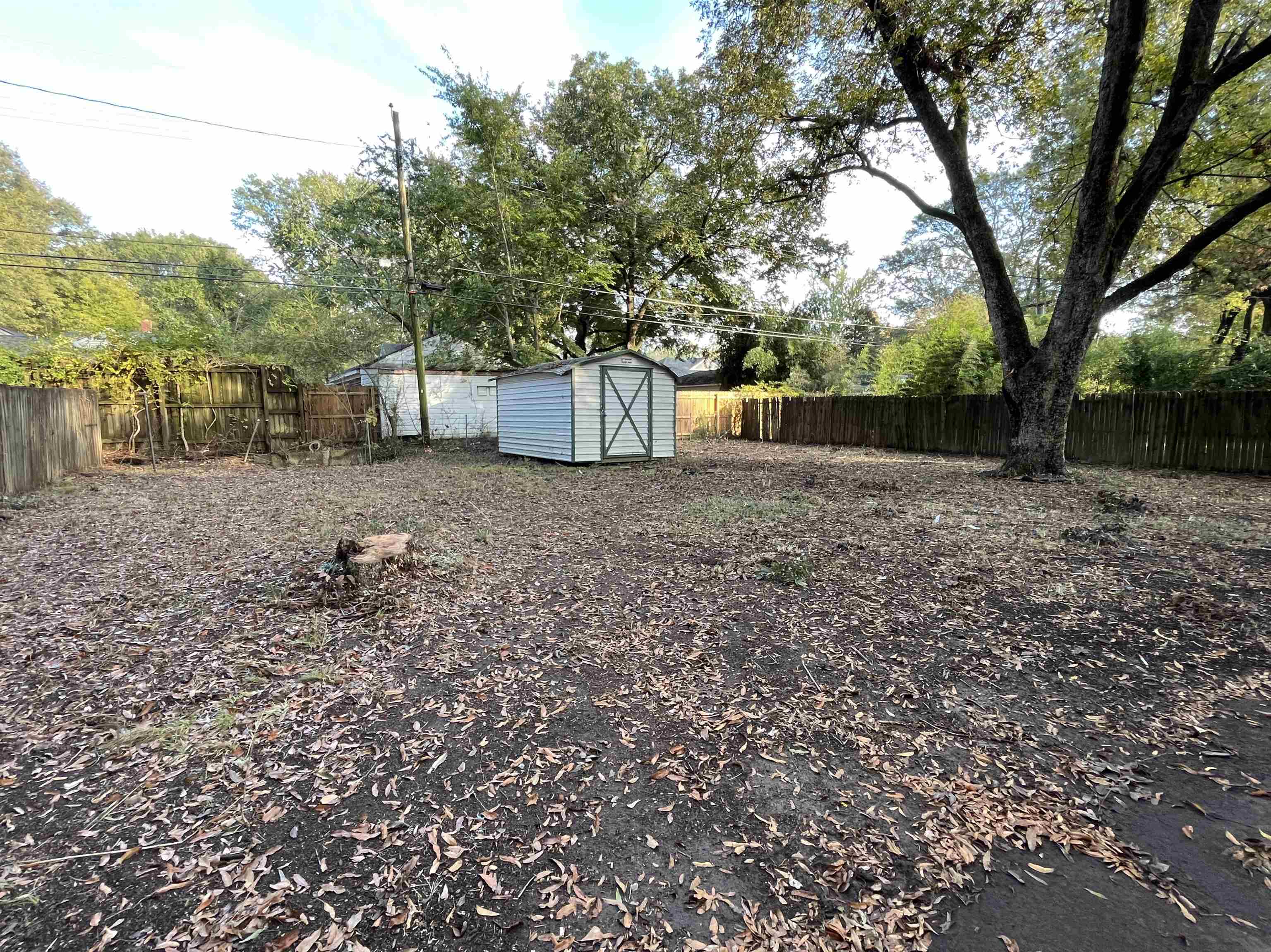 1258 Dearing Road Memphis, TN 38117 - Photo 3 of 12 a backyard of a house with lots of green space