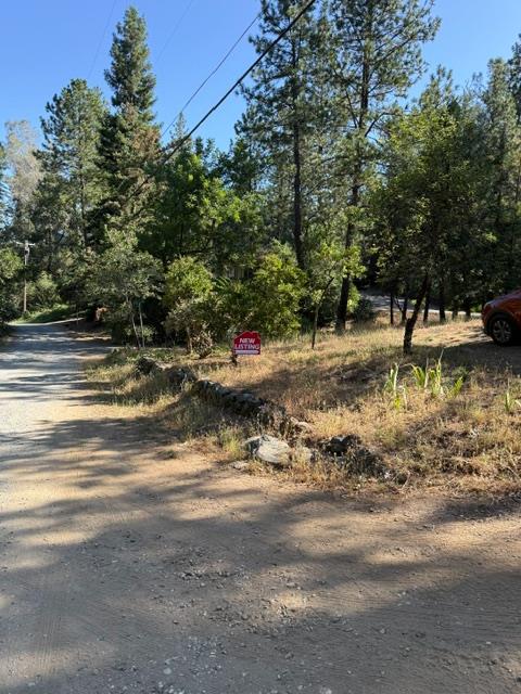 817 Timber Hills Road Colfax, CA 95713 - Photo 4 of 33