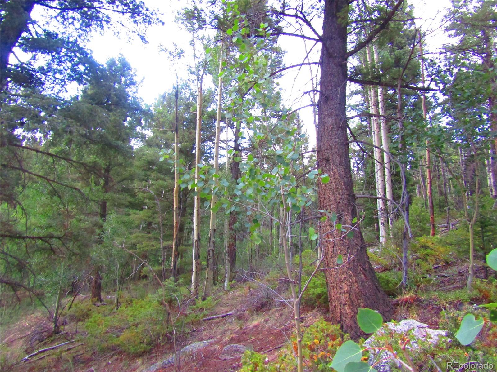 Lot 6461 Jacquez Road San Luis, CO 81152 - Photo 6 of 22