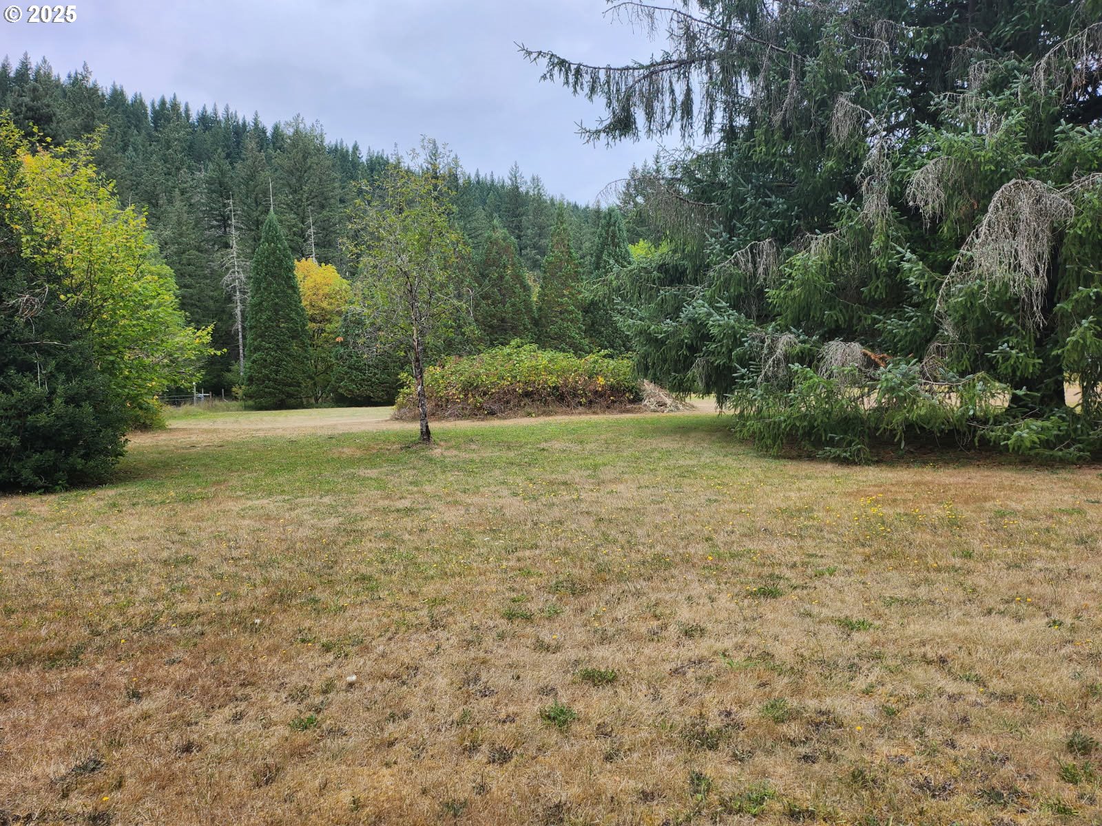 19606 Northeast Lucia Falls Road Yacolt, WA 98675 - Photo 5 of 7