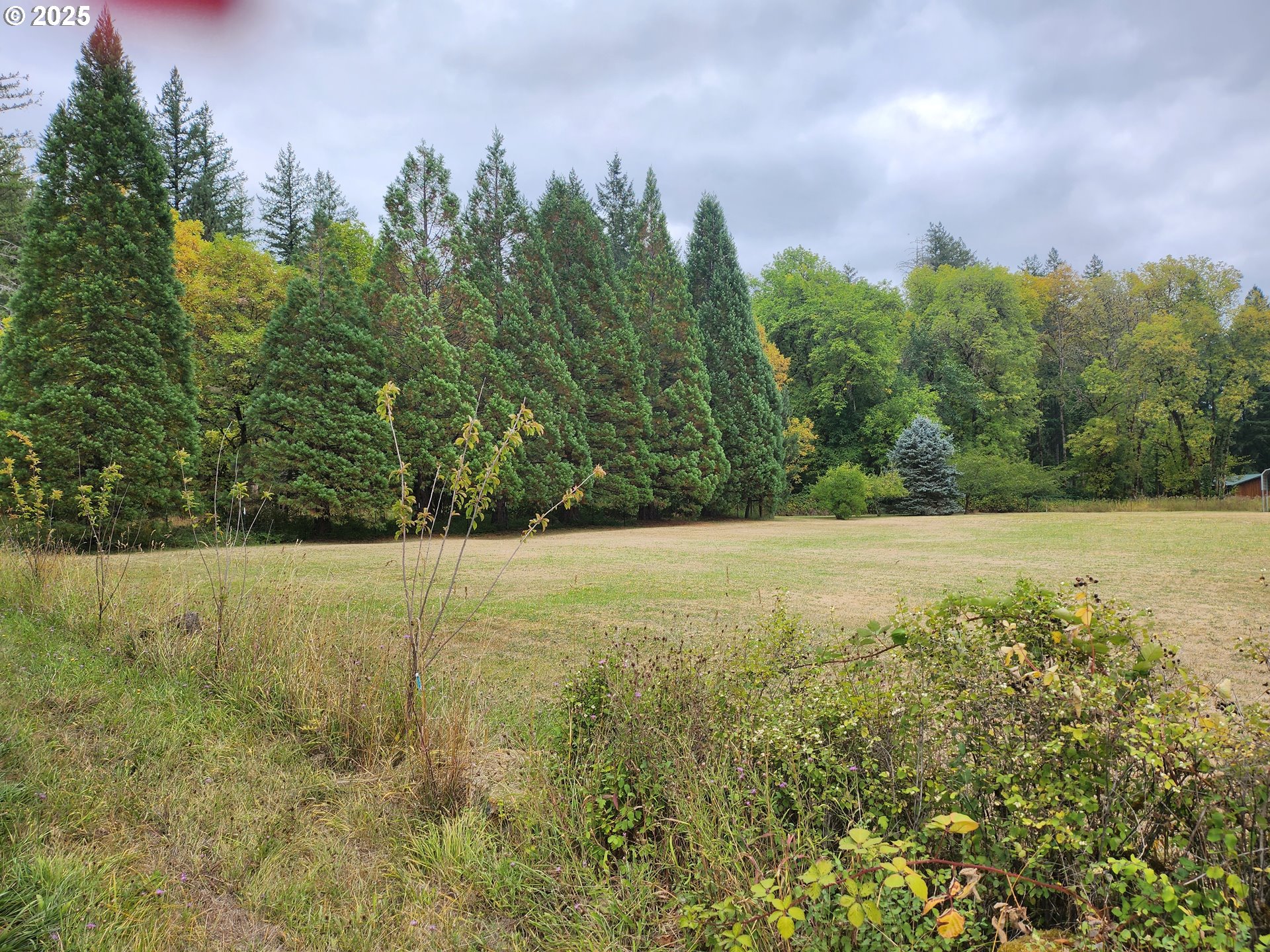 19606 Northeast Lucia Falls Road Yacolt, WA 98675 - Photo 6 of 7