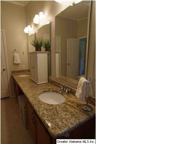 465 Jones Chapel Loop Springville, AL 35146 - Photo 12 of 28