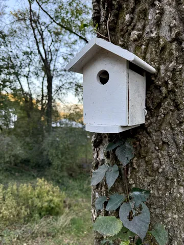 a view of a house with a large tree