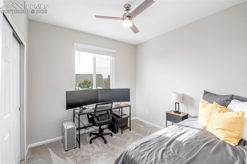2425 Foerster Grass View Colorado Springs, CO 80915 - Photo 20 of 27