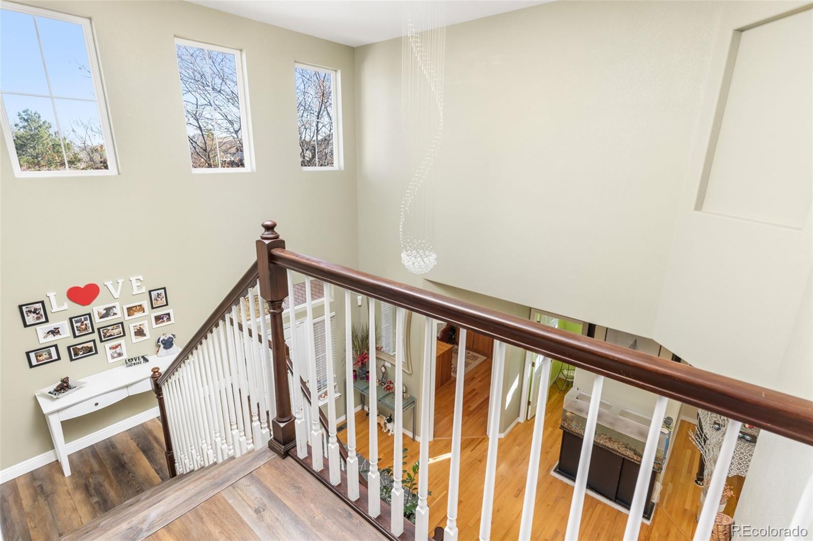 10899 Bobcat Terrace Lone Tree, CO 80124 - Photo 19 of 48