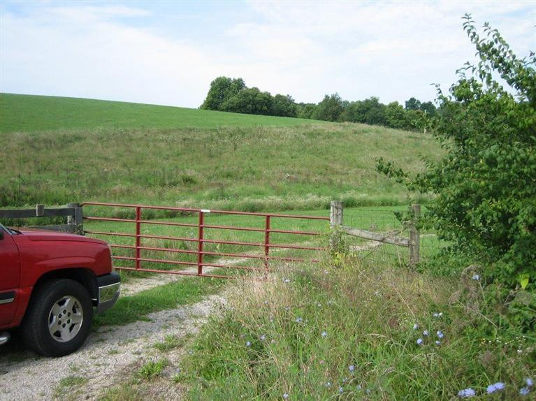 202 Oldson Road Paris, KY 40361 - Photo 9 of 11 Photo 9