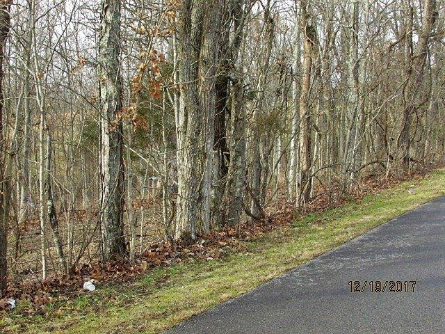 1 Ogden Ridge Road Mount Olivet, KY 41064 - Photo 5 of 12 Photo 5