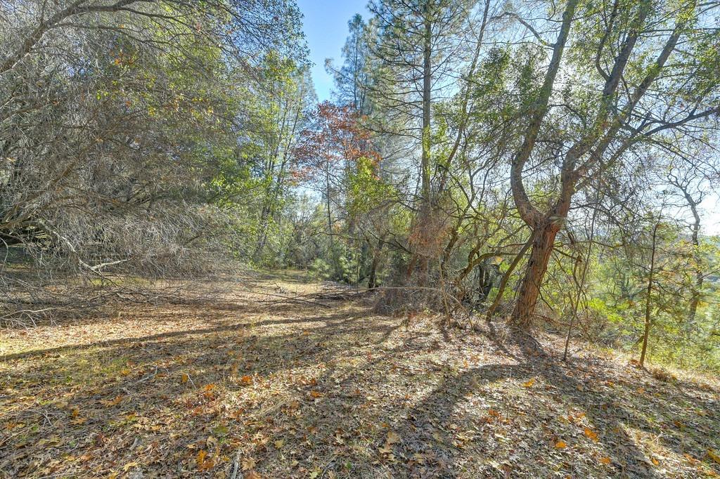 23050 Retherford Road Auburn, CA 95602 - Photo 9 of 39 a view of a yard with trees