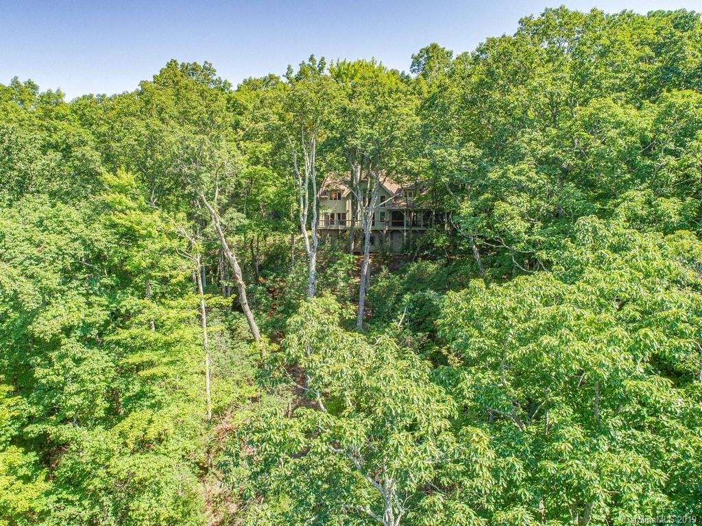 54 Rush Ridge Trail Fairview, NC 28730 - Photo 3 of 29 Gallery Image 3