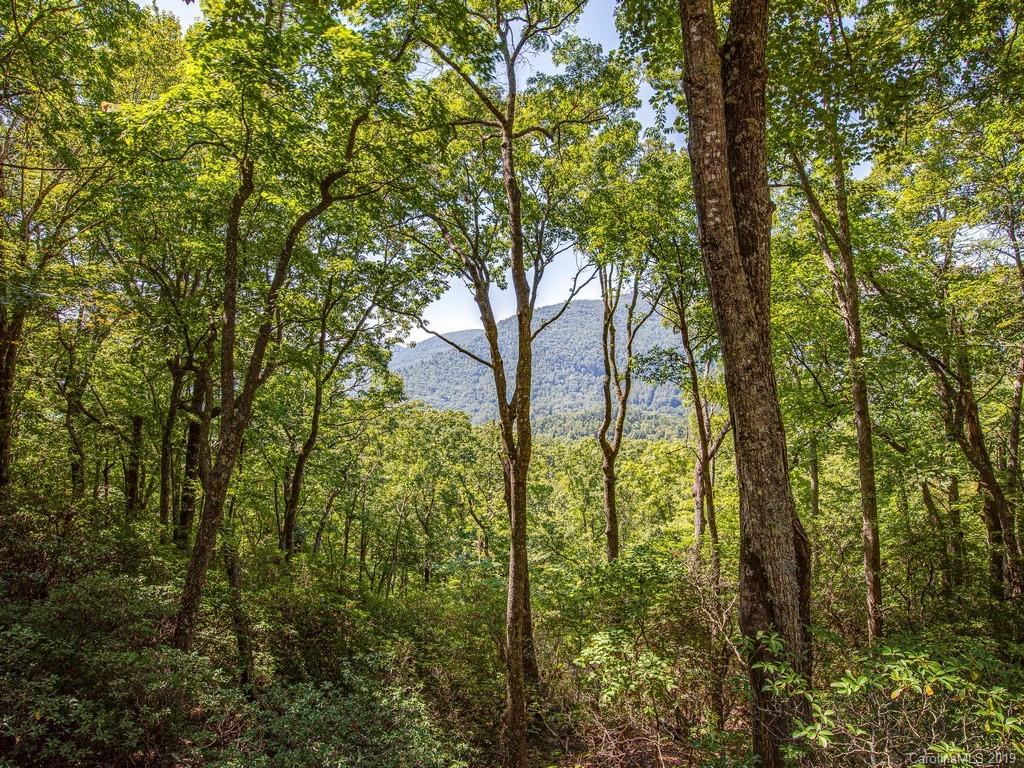 54 Rush Ridge Trail Fairview, NC 28730 - Photo 8 of 29 Gallery Image 8