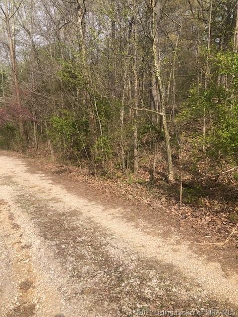 7272 West Hickory Ridge Road Eckerty, IN 47116 - Photo 7 of 10 Gallery Image 7