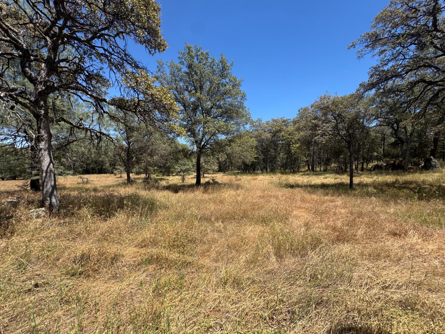 11168 Lone Star Road Auburn, CA 95602 - Photo 36 of 51