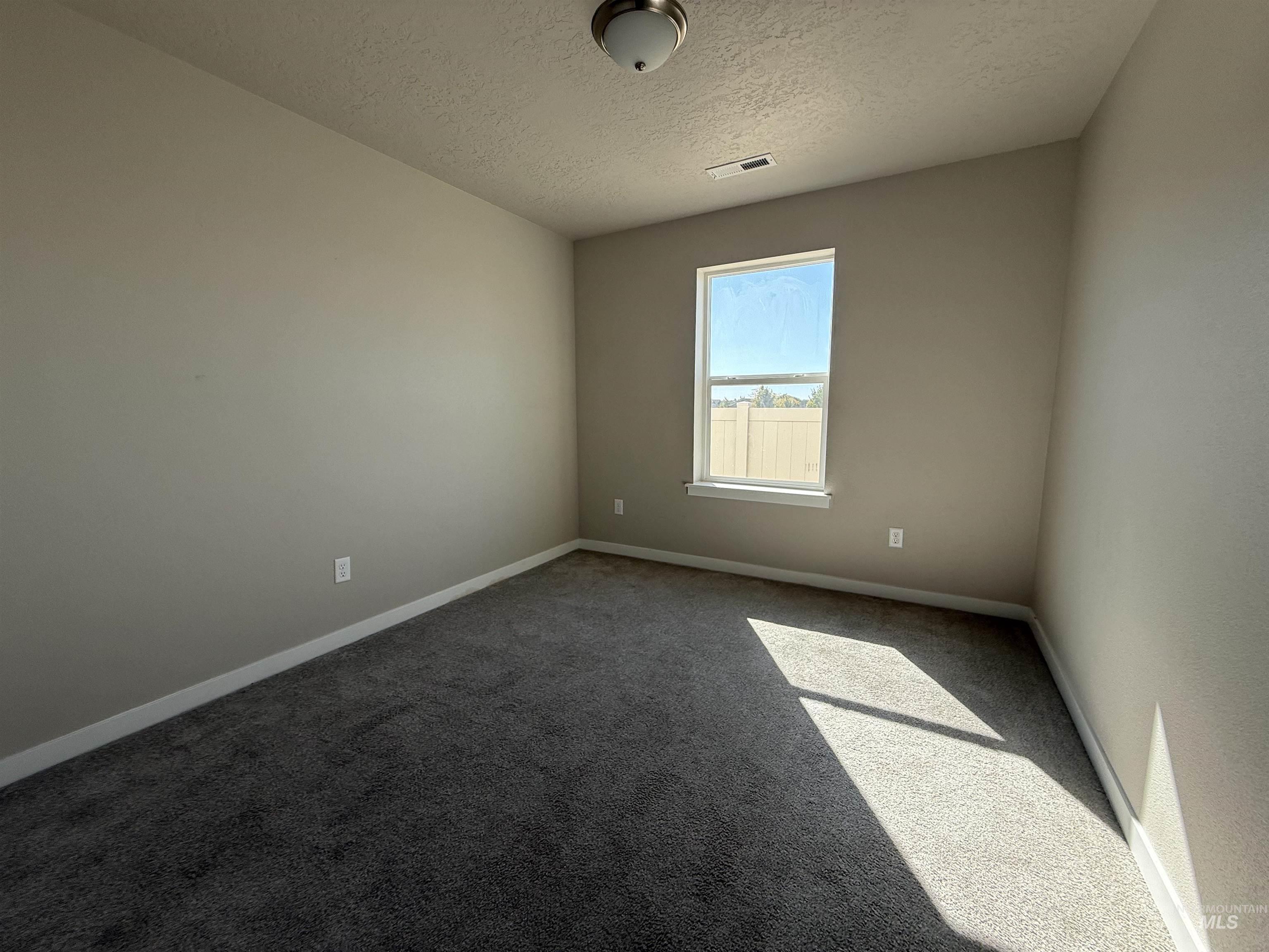 12451 Varga Street Caldwell, ID 83607 - Photo 9 of 30 Carpeted flooring, neutral wall paint, window with white trim, and a ceiling-mounted light fixture