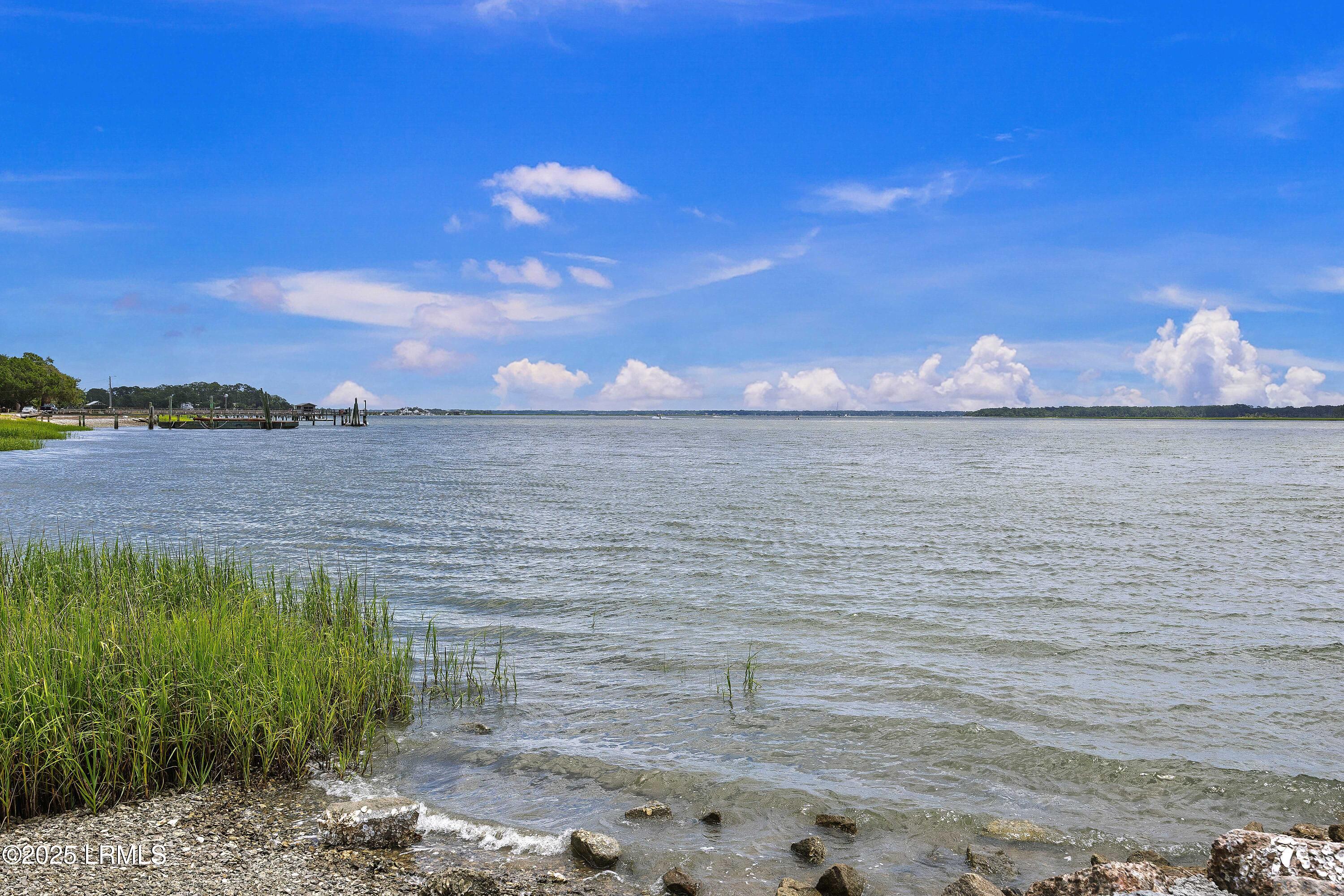 65 River Tree Circle Bluffton, SC 29910 - Photo 44 of 48 4R9A9389