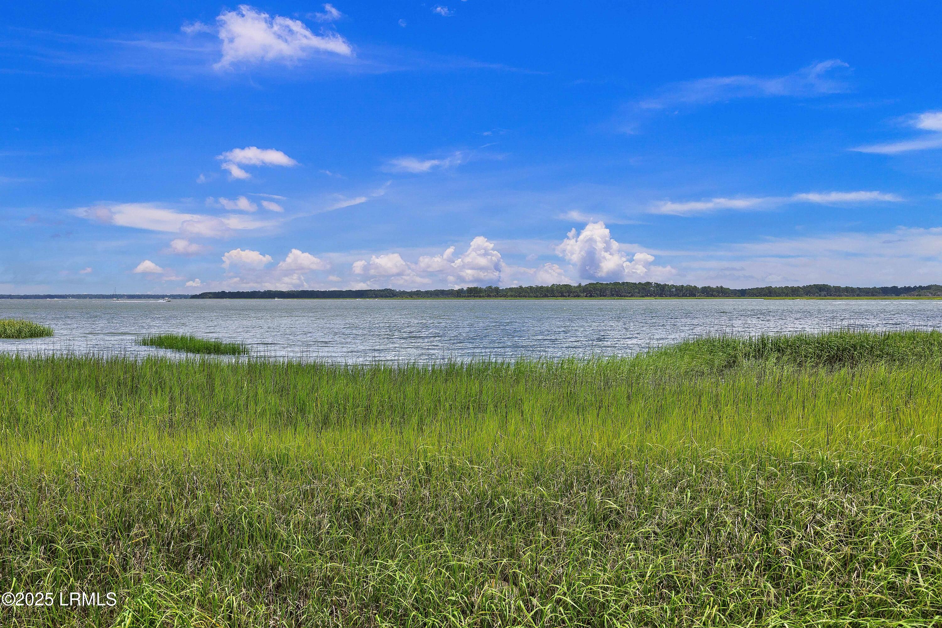 65 River Tree Circle Bluffton, SC 29910 - Photo 46 of 48 4R9A9404
