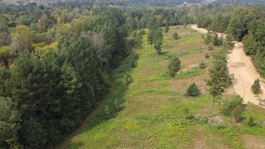 12 Athens Road Delano, TN 37325 - Photo 26 of 28