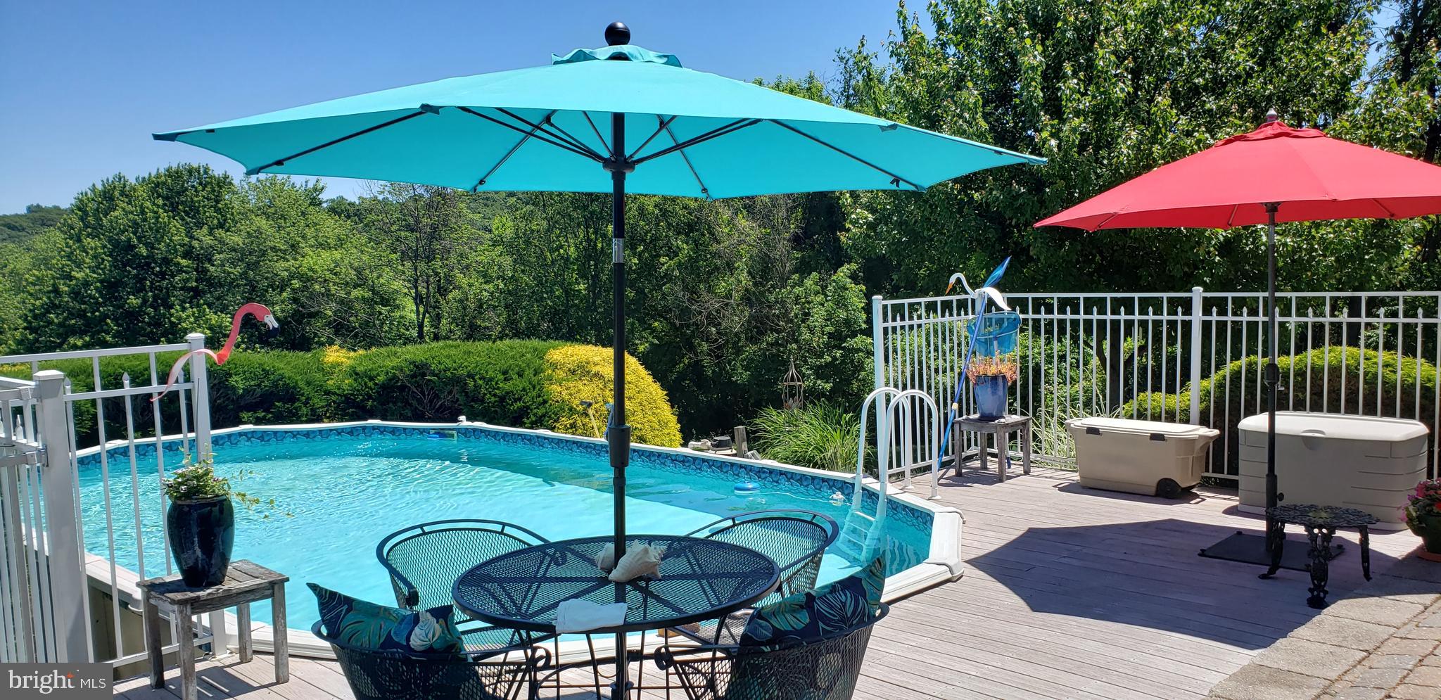 220 Valley View Road Riegelsville, PA 18077 - Photo 16 of 34 Pool 15 x 30 ' protected by shrubs and fencing