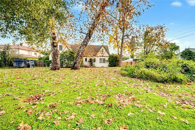 a view of a yard with large trees