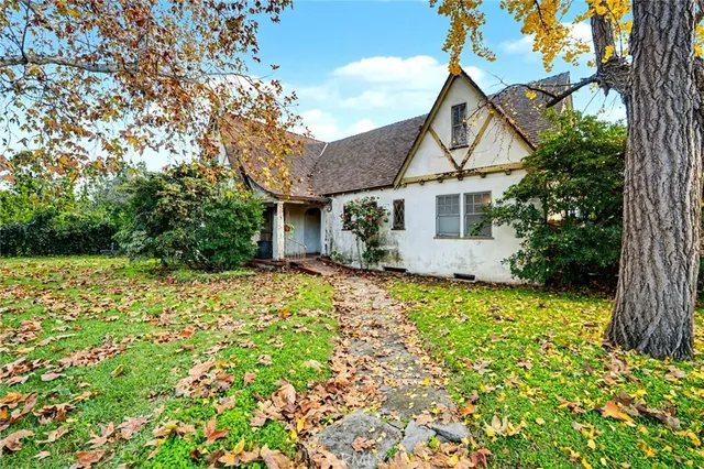 a view of a yard with plants